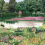 Papeles pintados Jardin del Espejo Coordonné Primavera A00640