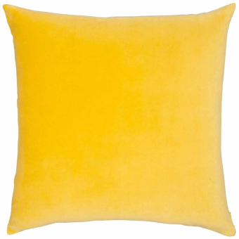 Chartreuse Cushion