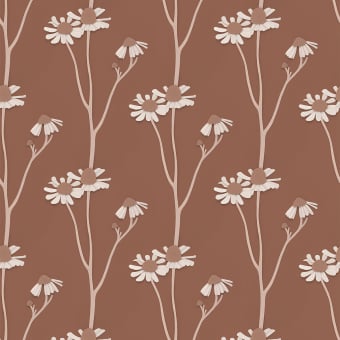 Chamomile Wallpaper