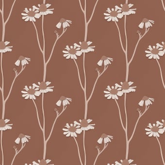 Tapete Chamomile