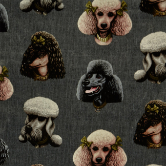 Poodle Parlour Velvet