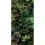 Gres porcellanato Jane grande dalle 41zero42 Jane C 4100153
