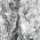 Panoramatapete Watermark York Wallcoverings Black MU0227M