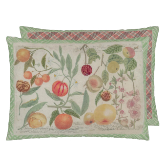 Coussin Oranges