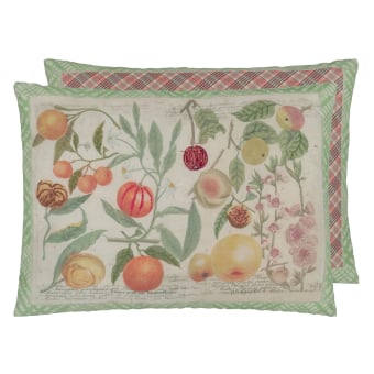 Oranges Cushion