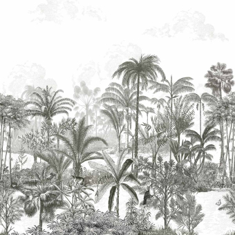 Papier peint panoramique Amazone