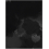 Teppich Mystifying Tints 5 Yo2 Noir MT3.05.1-FOLLY SOFT-200x300