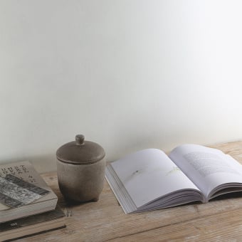 Carta da parati Calco