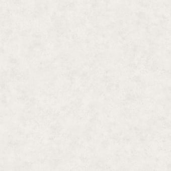 Basic Two Wallpaper