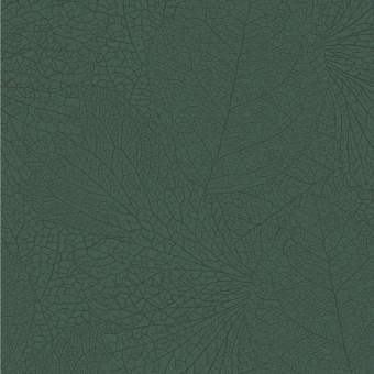 Carta da parati Forest