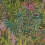Tessuto Cascade linoen Union Cole and Son Green Leaf F121/3012