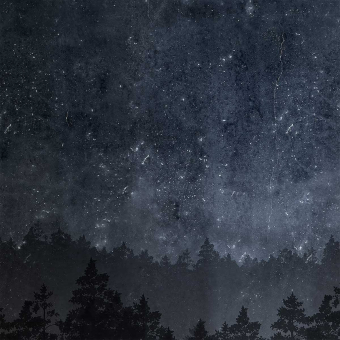 Papier peint panoramique Nordic Night