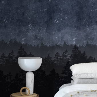 Papier peint panoramique Nordic Night