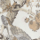 Tessuto Silkbird jacquard Dedar White lac 00T1602500005