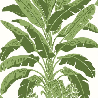 Banana Tree Wallpaper