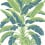 Papel pintado Banana Tree Thibaut Green and Blue T13918