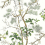 Katsura Wallpaper Thibaut Green and white T13621