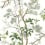 Katsura Wallpaper Thibaut Green and white T13621