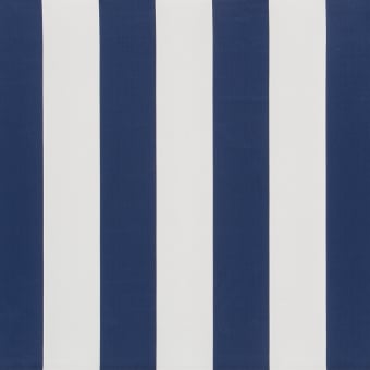 Gaston Stripe Fabric