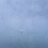 Papier peint panoramique Cygne Stella Cadente Bleu cygne_st_bleu