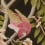Panoramatapete Silk Tree Liberty Red lac 07292202E