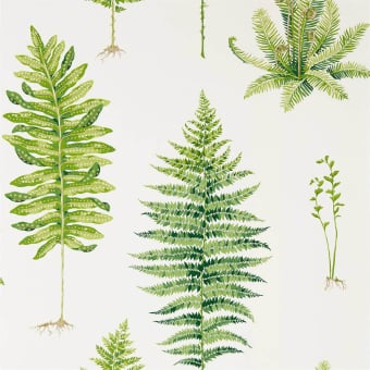 Fernery Wallpaper