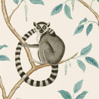 Papel pintado Ringtailed Lemur
