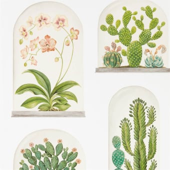 Papel pintado Terrariums