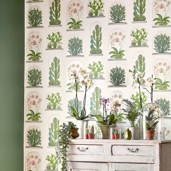 Papier peint Terrariums