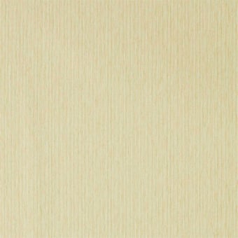 Papier peint Caspian Strie