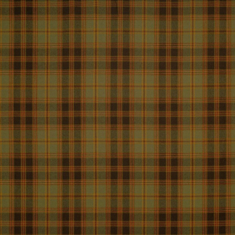 Stoff Dugald Plaid