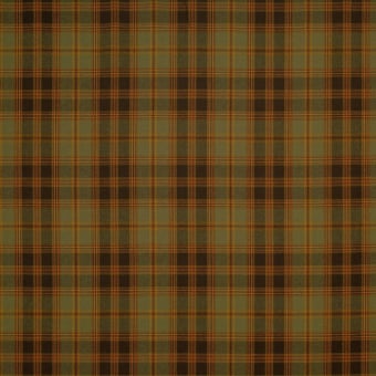 Tissu Dugald Plaid