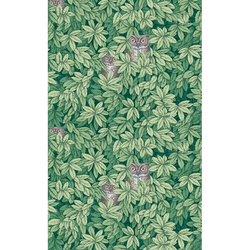 Tapete Foglie e Civette Fornasetti Cole and Son