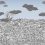 Panel Vista Mediterranea Fornasetti Cole and Son Blue Ombre Sky 123/3014