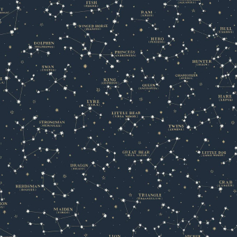 Papel pintado Starry Sky