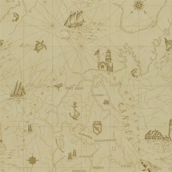 Carta da parati Shipping Lanes Map