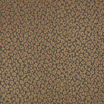 Kitty Wallpaper