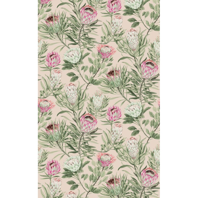 絵画 額縁付 プロテア protea Protea Flowers Framed Wall Art - World Market