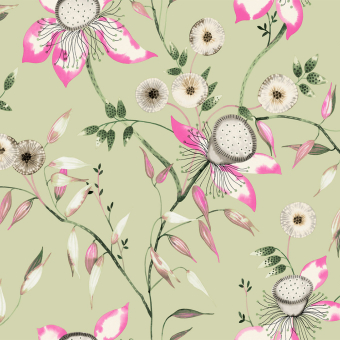 Dream Blossom Wallpaper