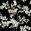 Carta da parati Lunaria Silhouette York Wallcoverings Black White BL1804