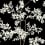 Papier peint Lunaria Silhouette York Wallcoverings Black White BL1804