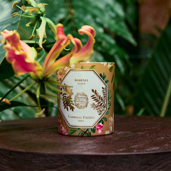 Bougie parfumée Acacia