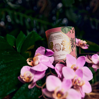 Bougie parfumée Géranium