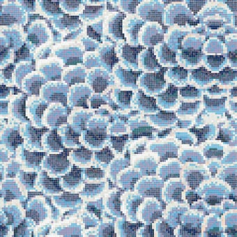 Mosaïque Dalia