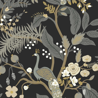 Papier peint Peacock