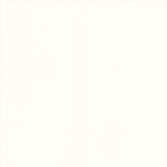 White Primer