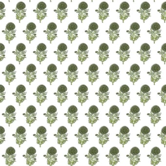Plasencia Wallpaper
