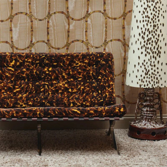 Terciopelo Eco Lonesome George Terciopelo Eco Lonesome George