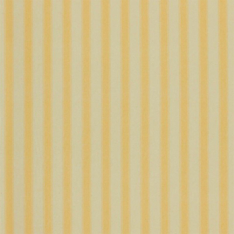Terciopelo Eco Nanny's Stripe