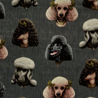 Eco Poodle Parlour Velvet